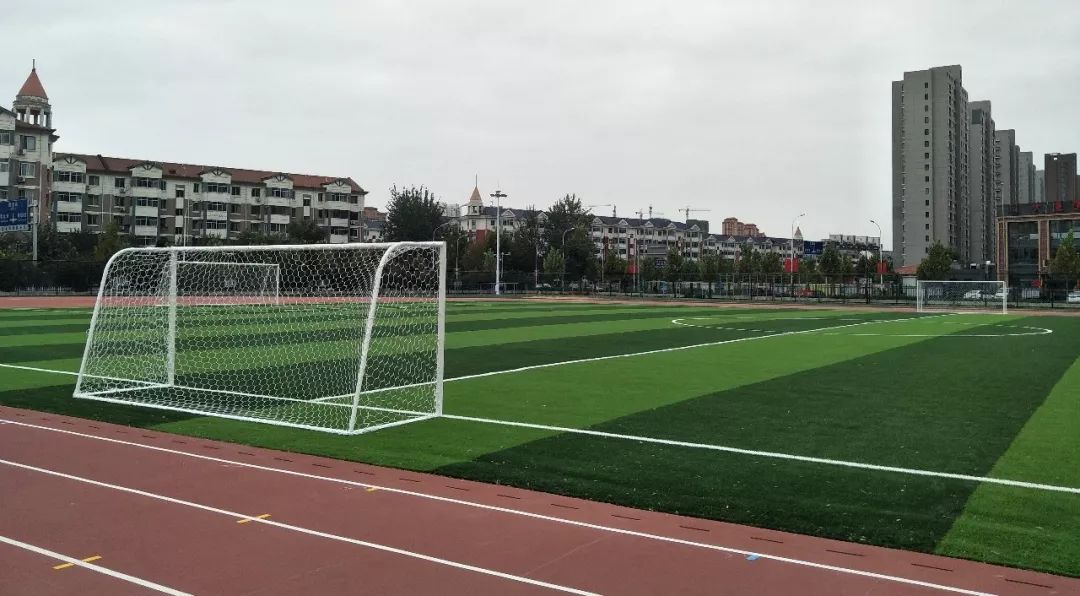 天津哪些学校体育场对外开放,天津94所体育场馆