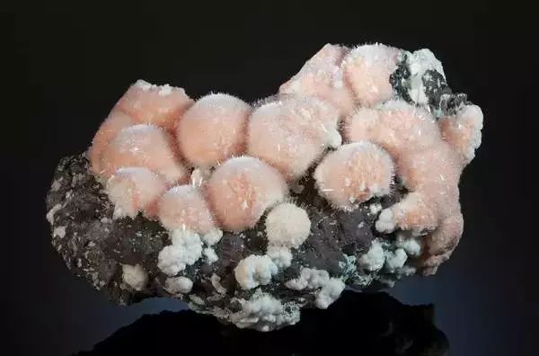 谁还不是个小可爱呢下一句,谁还不是小可爱