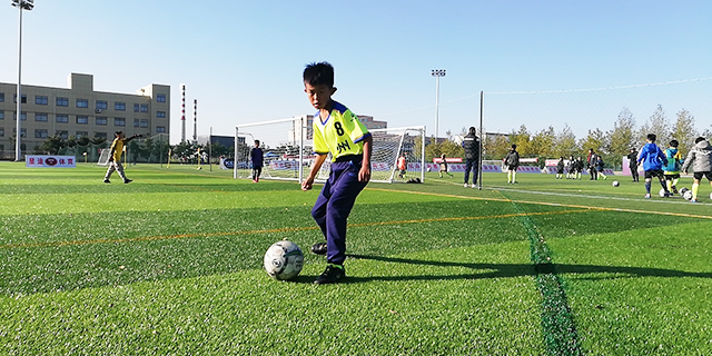 2019年山东省足球锦标赛冠军,山东省足球少年锦标赛