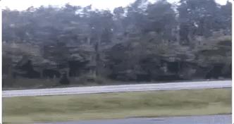 金橡树的波浪乳胶枕泰国原装进口,泰国进口乳胶枕只要99