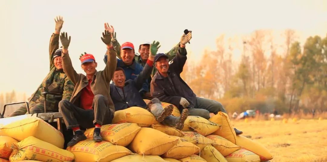 壮丽70年·吉林农信丨为了黑土地的崛起!吉林省农村信用社支持地方经济发展纪实