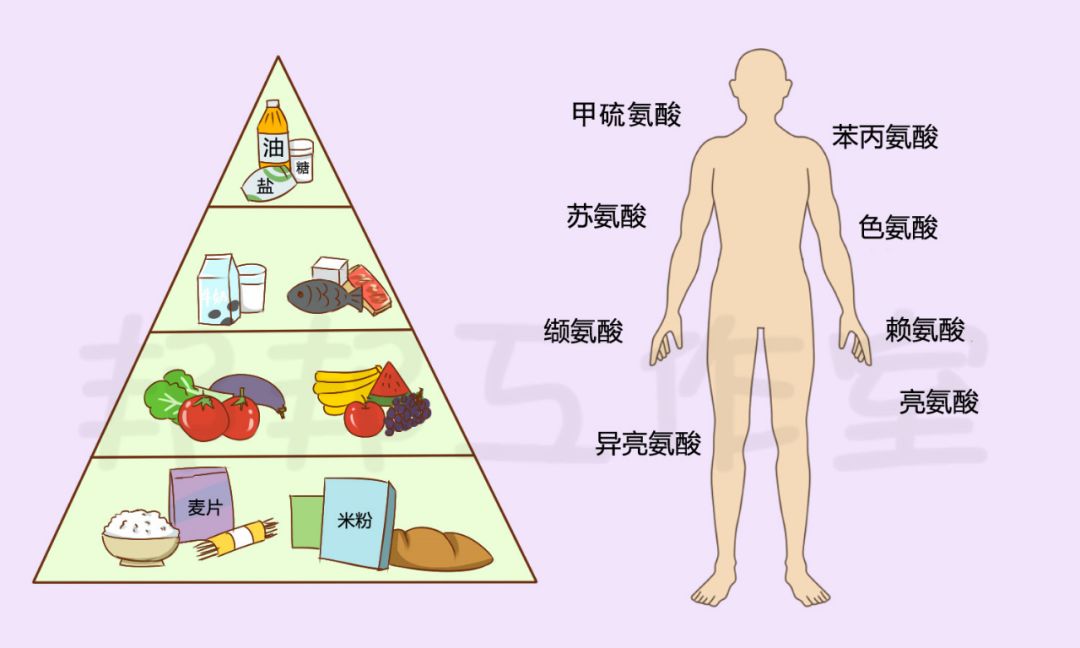 胶原蛋白美白丸葡萄籽,胶原蛋白肽美白丸副作用