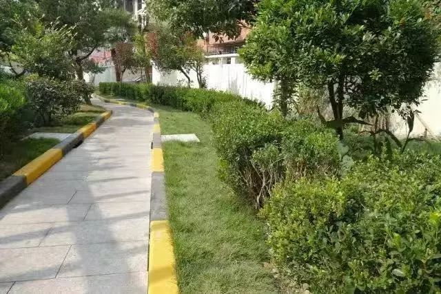 爱上莘庄的理由，一定有这两个字