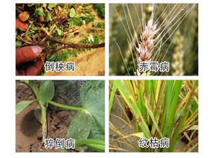 谈一谈你对中化map企业文化的认识,中化企业文化是什么