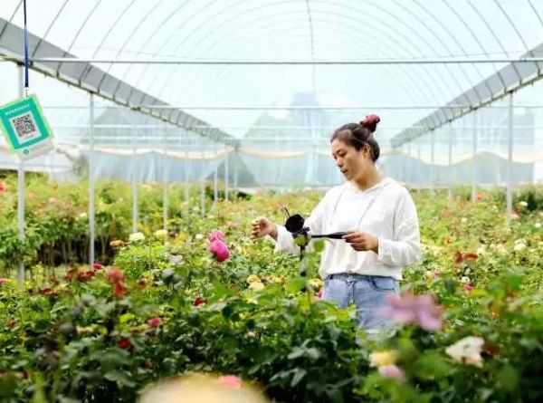 新华日报点赞沭阳,新华日报聚焦