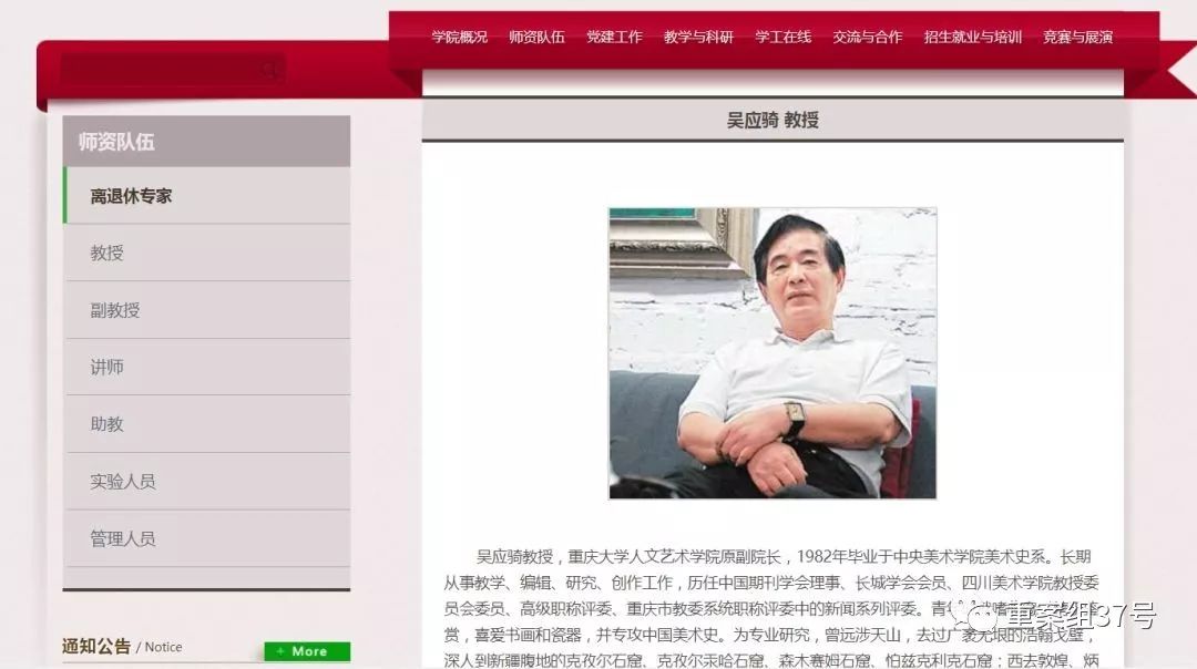 重庆大学赝品博物馆央视,重庆大学博物馆赝品事件教授