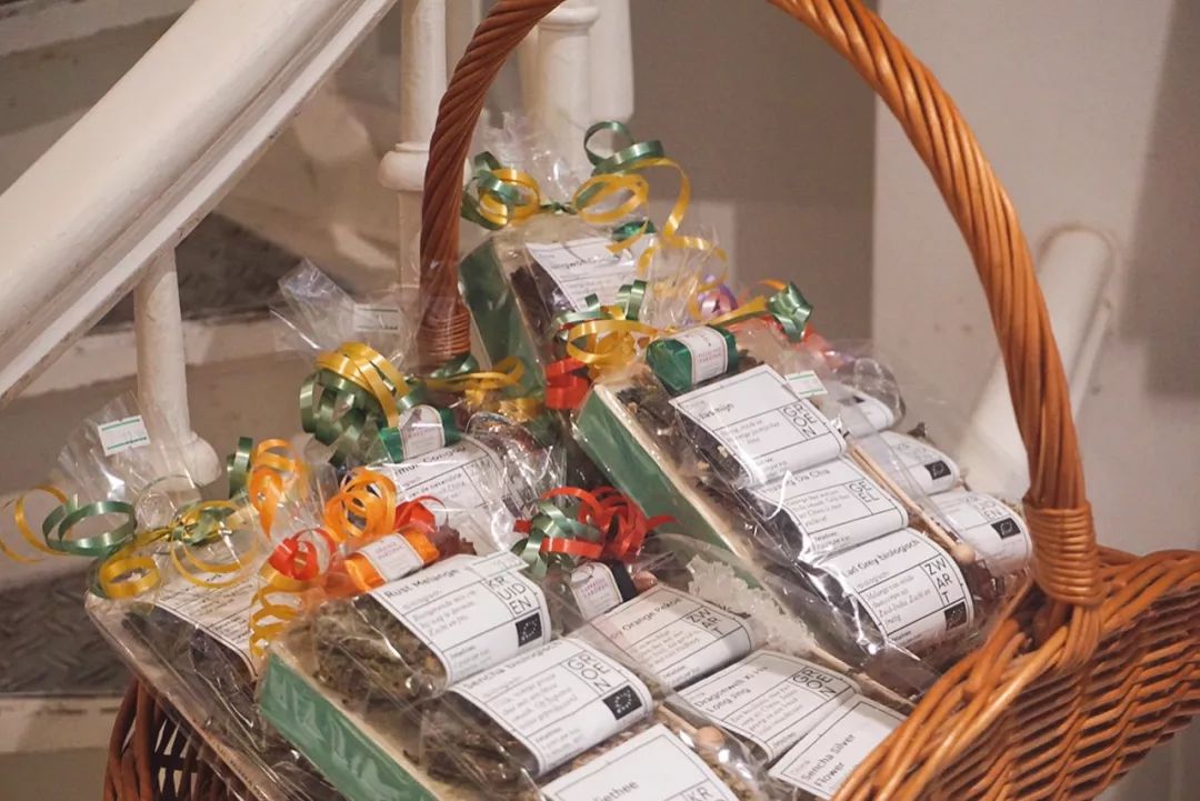 去海牙最好的地方,海牙游览