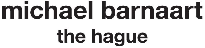去海牙最好的地方,海牙游览