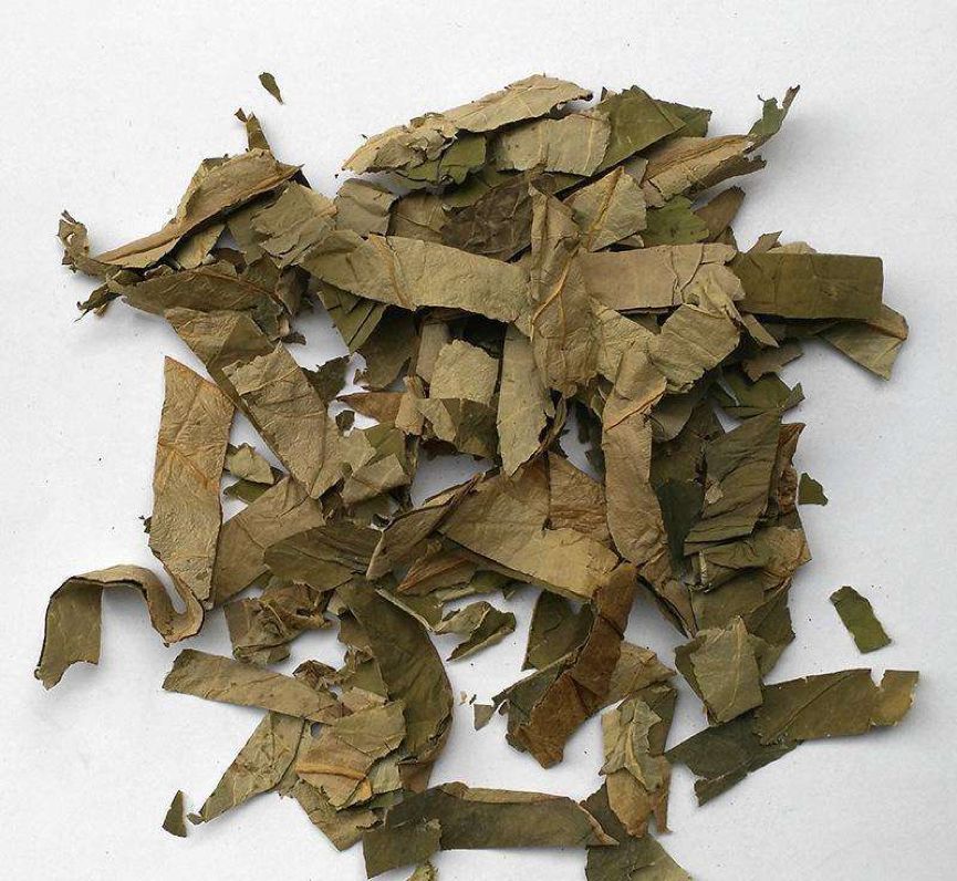 淫羊藿,淫羊藿补一身之阳气