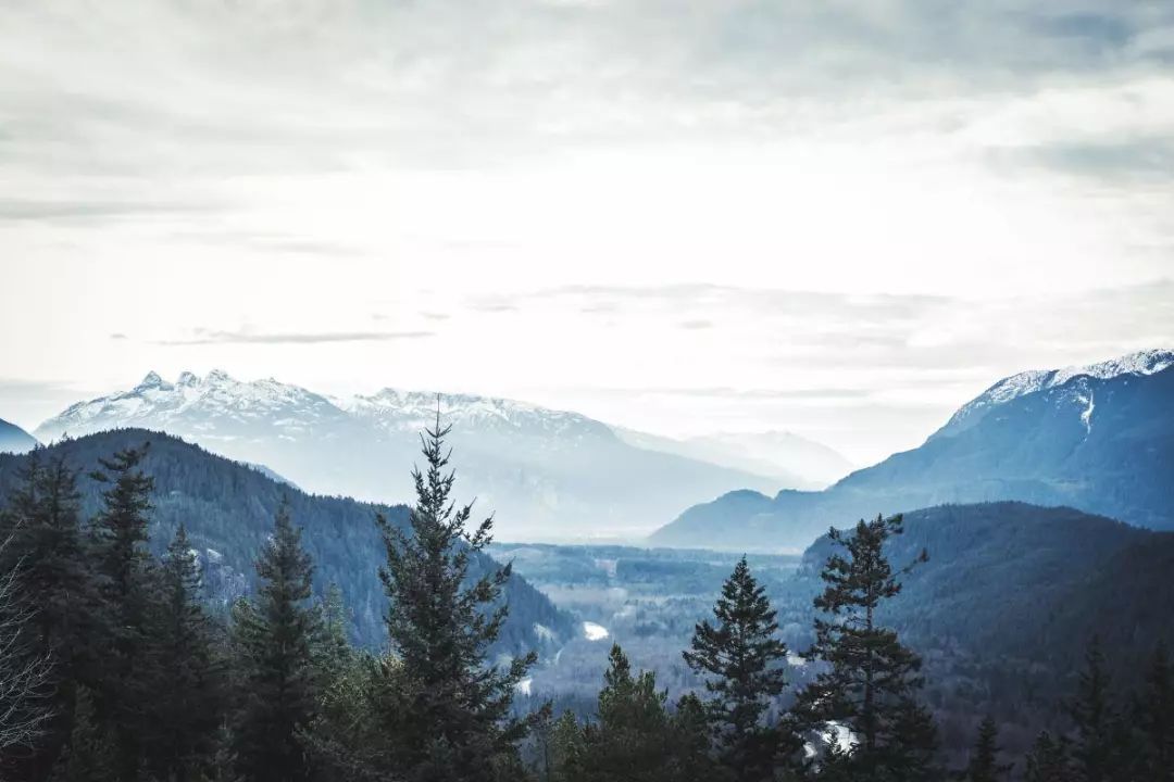 诗词中的难以启齿的字,古诗词难读懂的字