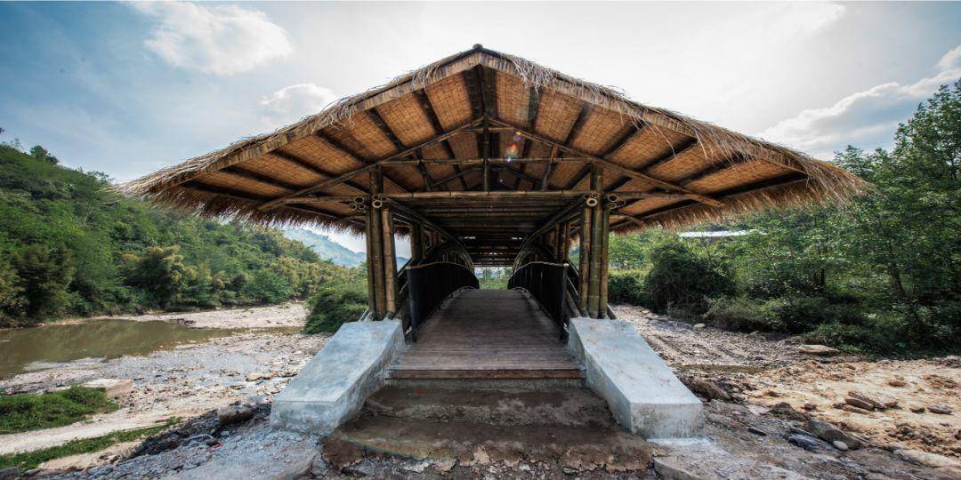 竹子的优点有哪些,竹子很有营养吗