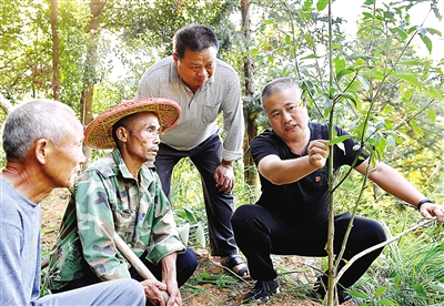 打造一把金钥匙,打造个金钥匙需要多少克金子