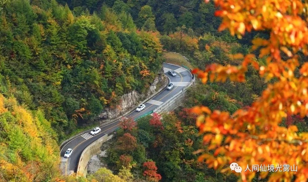 秋天的川西彩林,川西彩林最佳观赏地点