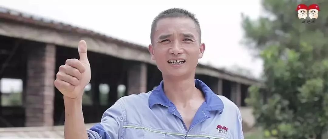 贵州双胞胎养猪加盟联系方式,双胞胎公司加农户养猪