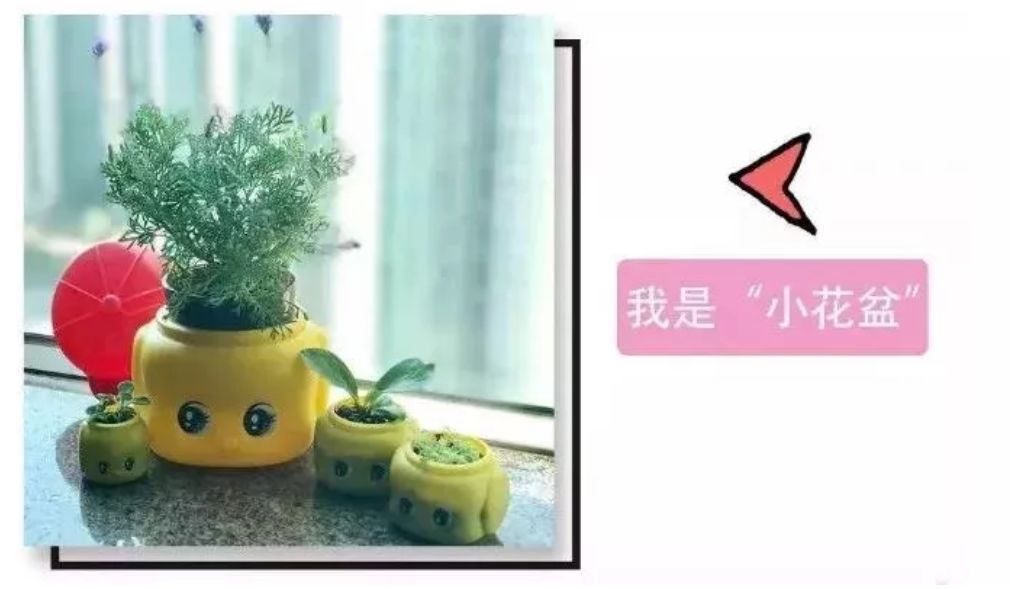 俏皮娃娃面霜,原装进口儿童面霜