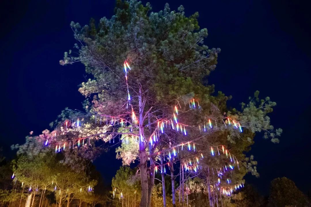 仪陇最值得去的地方,仪陇附近游玩推荐一日游