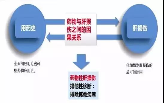 药物性肝损伤临床诊治进展,罗新华医生