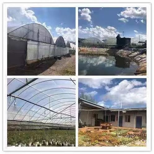 「信息快报」速来！丽客隆招聘超市店长、部门经理、设计员……