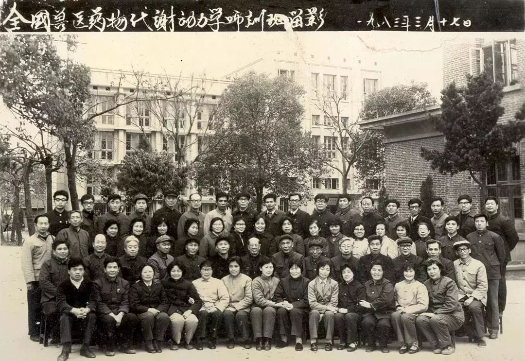 又一香港青年！考入岭大，弃文从医，成为我国兽医药理学学科奠基人