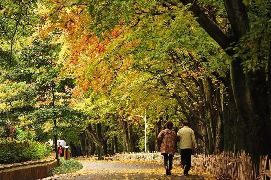 昆明植物园科普园地,昆明植物研究所免费开放时间