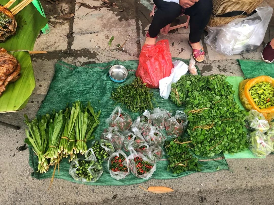 西双版纳傣族赶街视频,勐腊县勐仑镇赶街