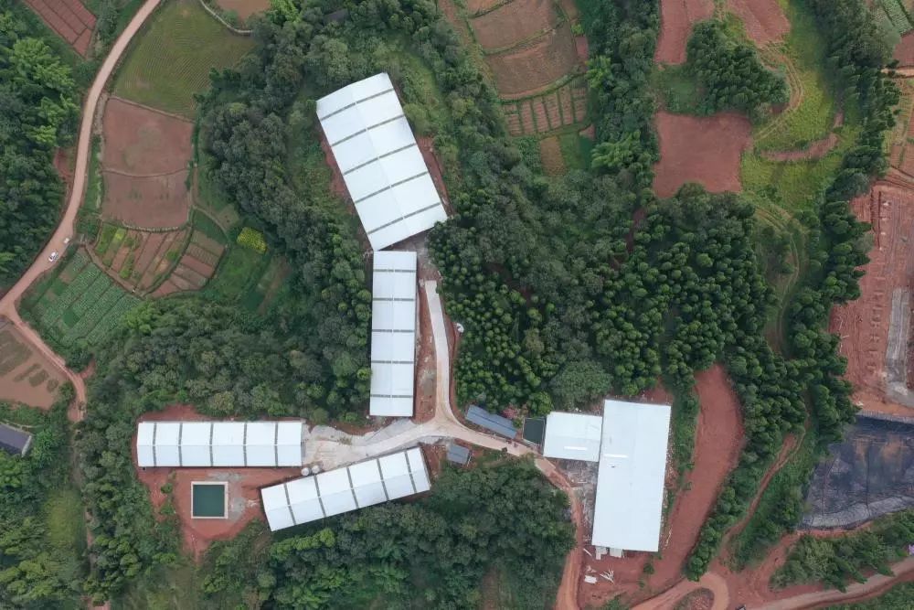 重庆乡村振兴大赛,重庆乡村振兴创业大赛