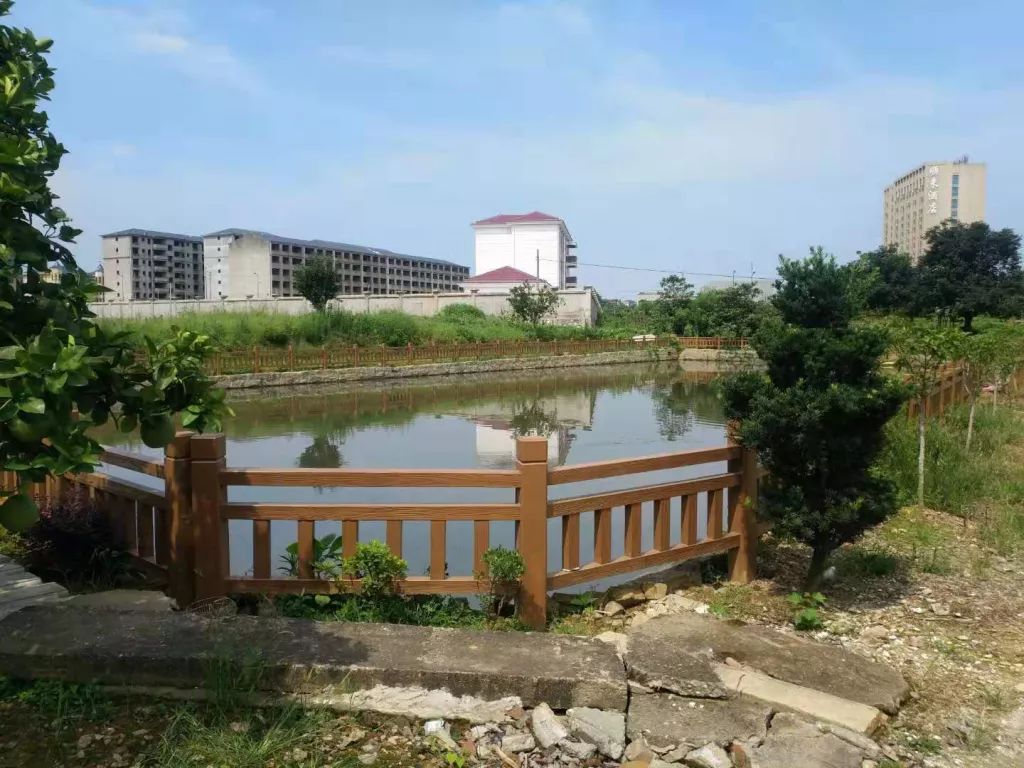 【媒体看安义】东阳镇云溪村：干群齐动手村庄焕新颜