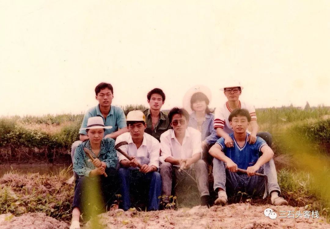 华政的简介,华政的故事