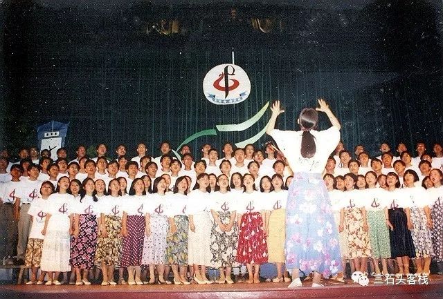 华政的简介,华政的故事