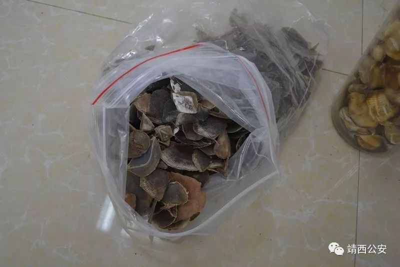 昆仑行动保健食品事件,2019年昆仑行动假药事件