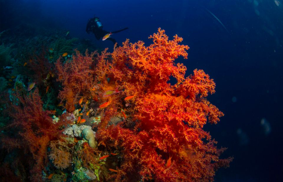 秒杀马代的绝美海岛,海南媲美马代的海岛