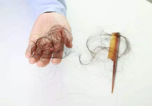 一根头发值25块,一根头发价值多少钱