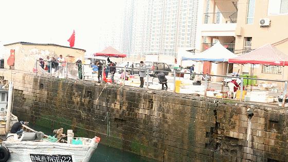 小港码头有蛏子吗,小港码头吃海鲜俱乐部电话