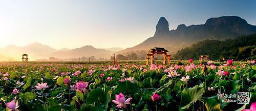 脱贫村致富带头人,培育致富带头人助力脱贫