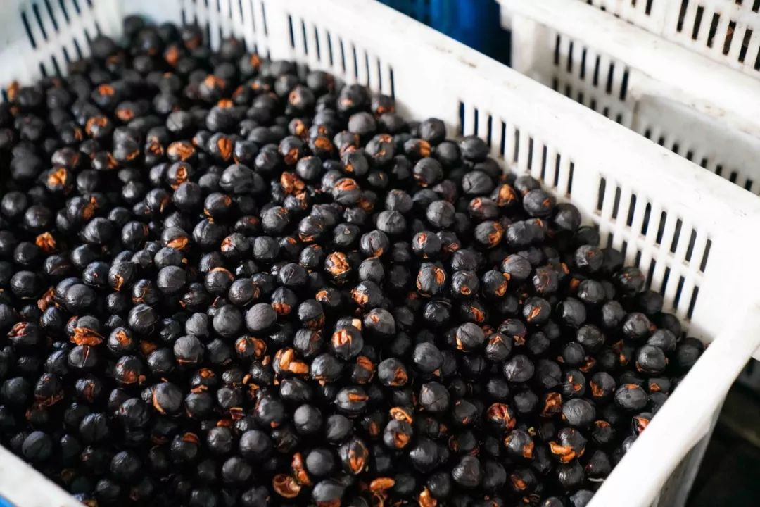 正宗非手剥山核桃,非常好吃又好剥的野生山核桃