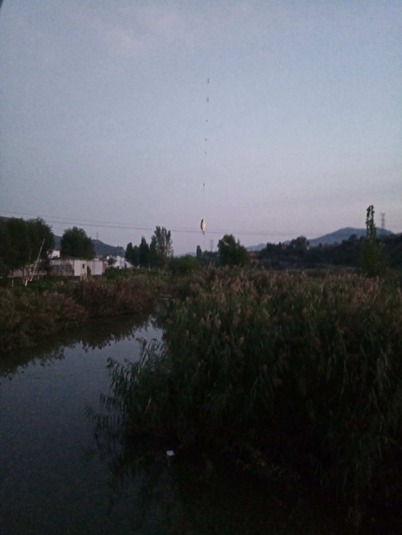 好久没有钓鱼了怎么钓,钓鱼半天没口就怀疑没调好漂