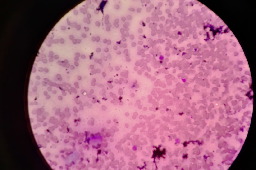川大必修课最新消息,川大有哪些必修课