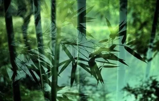 下个月，这场赛事将在永安举行！吃住行攻略附上