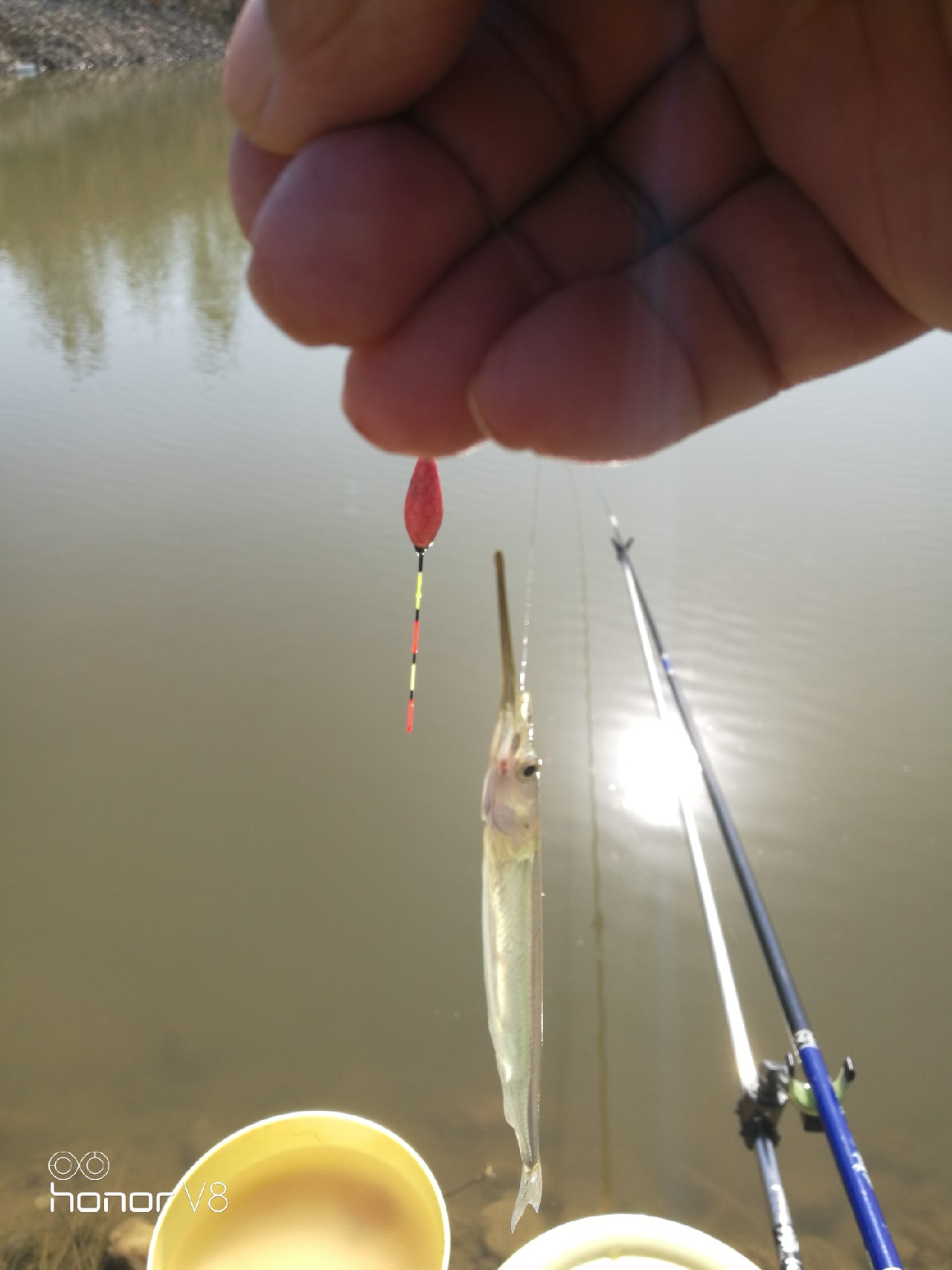 初春野河钓小杂鱼,野钓避杂鱼