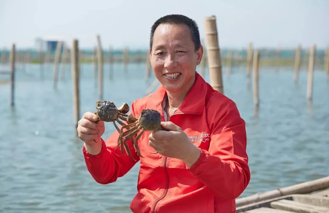 阳澄湖大闸蟹流黄,阳澄湖大闸蟹几月份吃最好吃