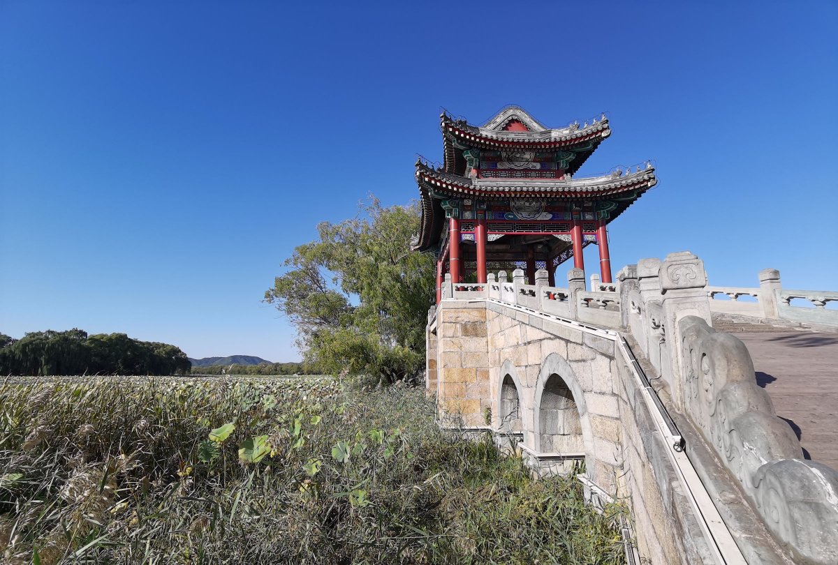 华为mate30pro前摄像头近拍,华为mate30pro前摄像头拍照效果