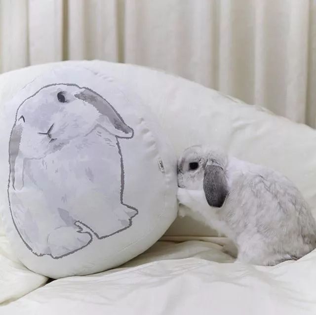 除了GU日本妹子的睡衣都是在这里买的！太太太太太可爱了