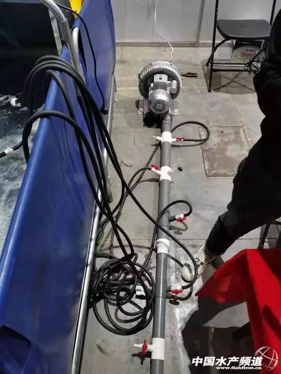 未来几年内微孔增氧设备或将迎来发展高潮期