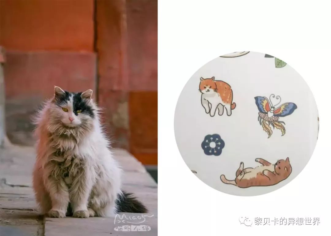 贝壳分享｜|她们说，秋冬也要认真穿