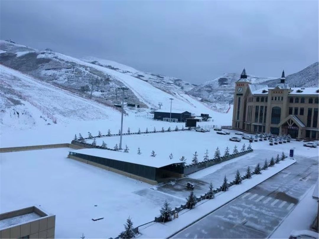 十四冬比赛在哪里看回放,十四冬比赛在哪进行