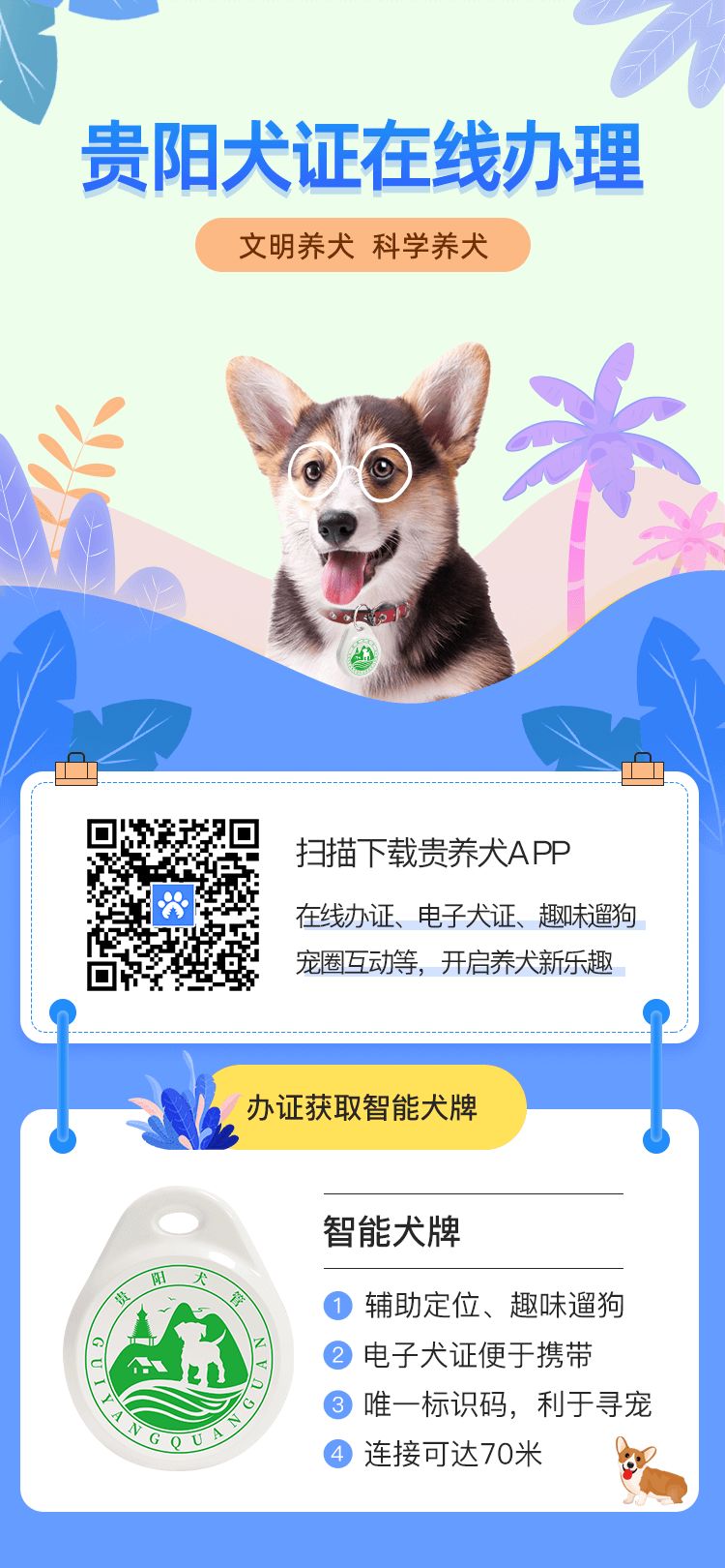 贵阳电子驾驶证开通了吗,贵阳犬证编号