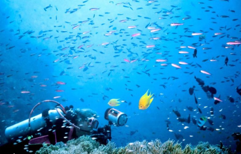 海洋环境保护有哪些科技,海洋环保专题