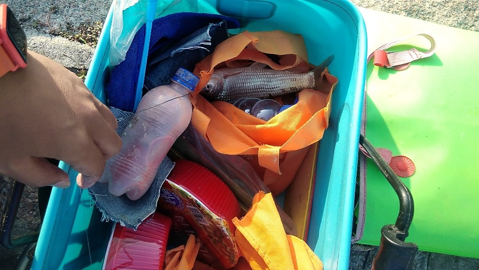 带友渔乐记渔获20斤,钓鱼不能*欢偷**