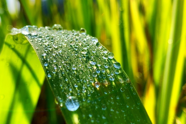 跟着镜头品诗词,跟着镜头感受生活中的美好