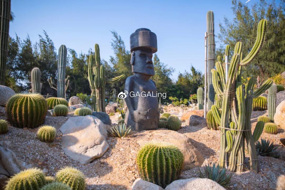 大V推荐|国内少有的黄金沙滩海岸，漳州六鳌游玩必备攻略，拍照小贴士！